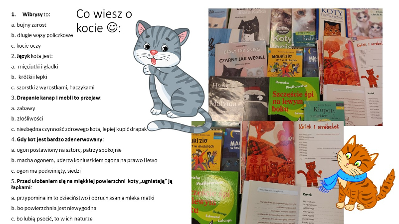 Mały quiz wiedzy o kotach